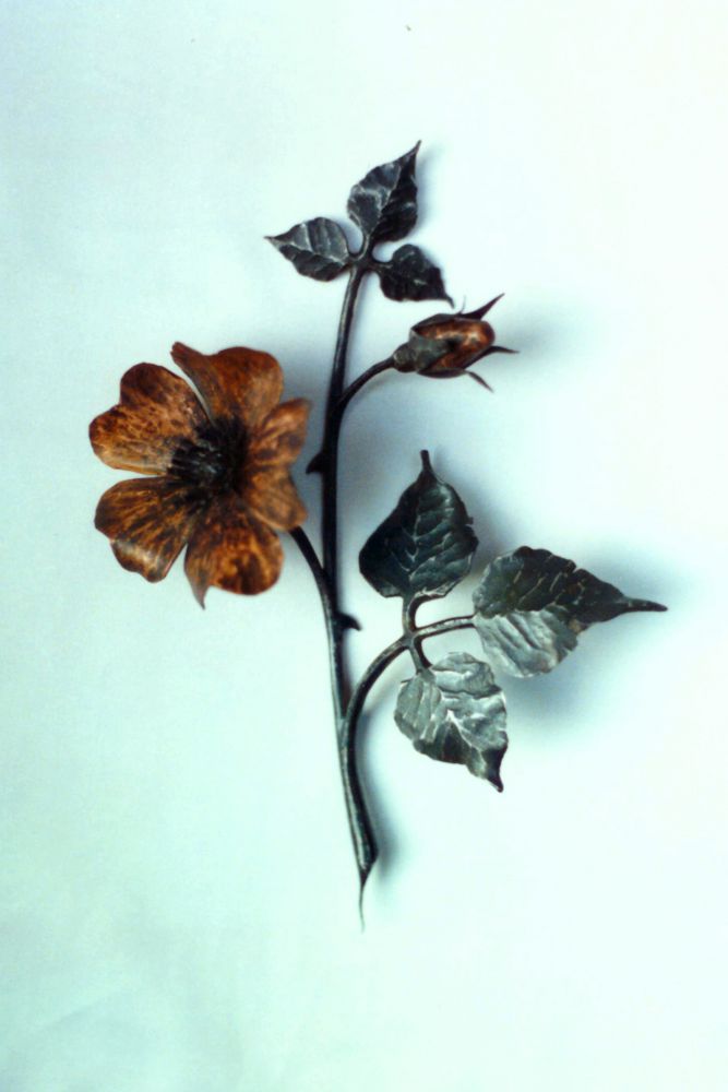 kovaná šípková růže